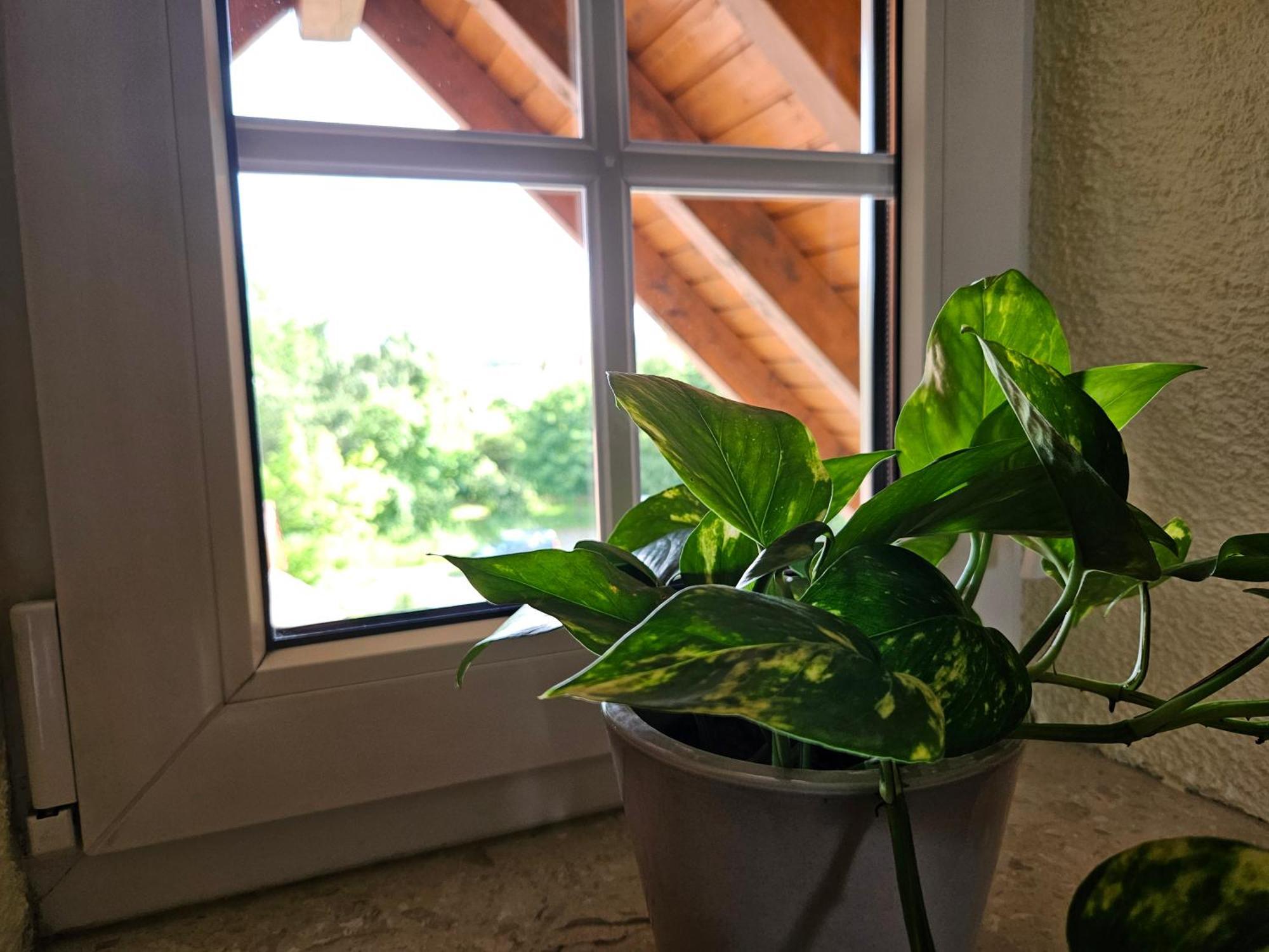 Service Appartement Weigl Nittenau Exteriér fotografie